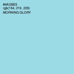 #9ADBE5 - Morning Glory Color Image